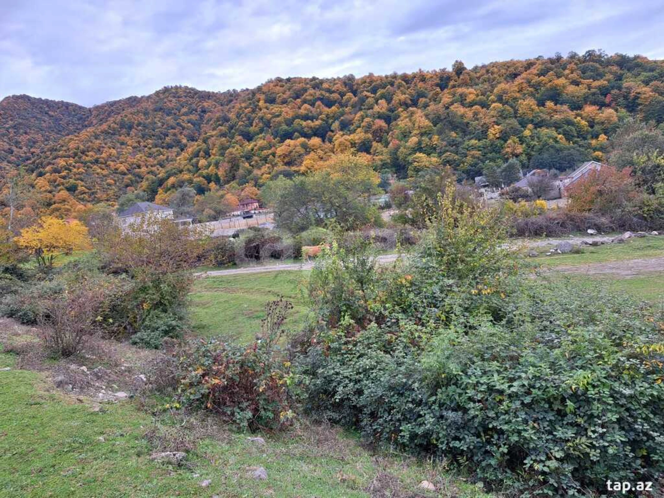 Kirayə verilir 2 otaqlı həyət evi