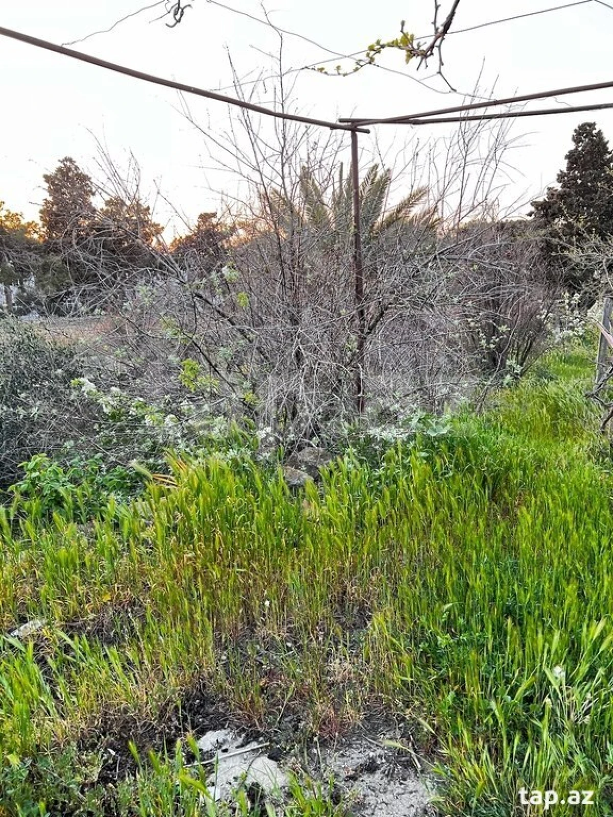 Satılır torpaq sahəsi