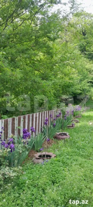 Kirayə verilir 2 otaqlı həyət evi 20 m²