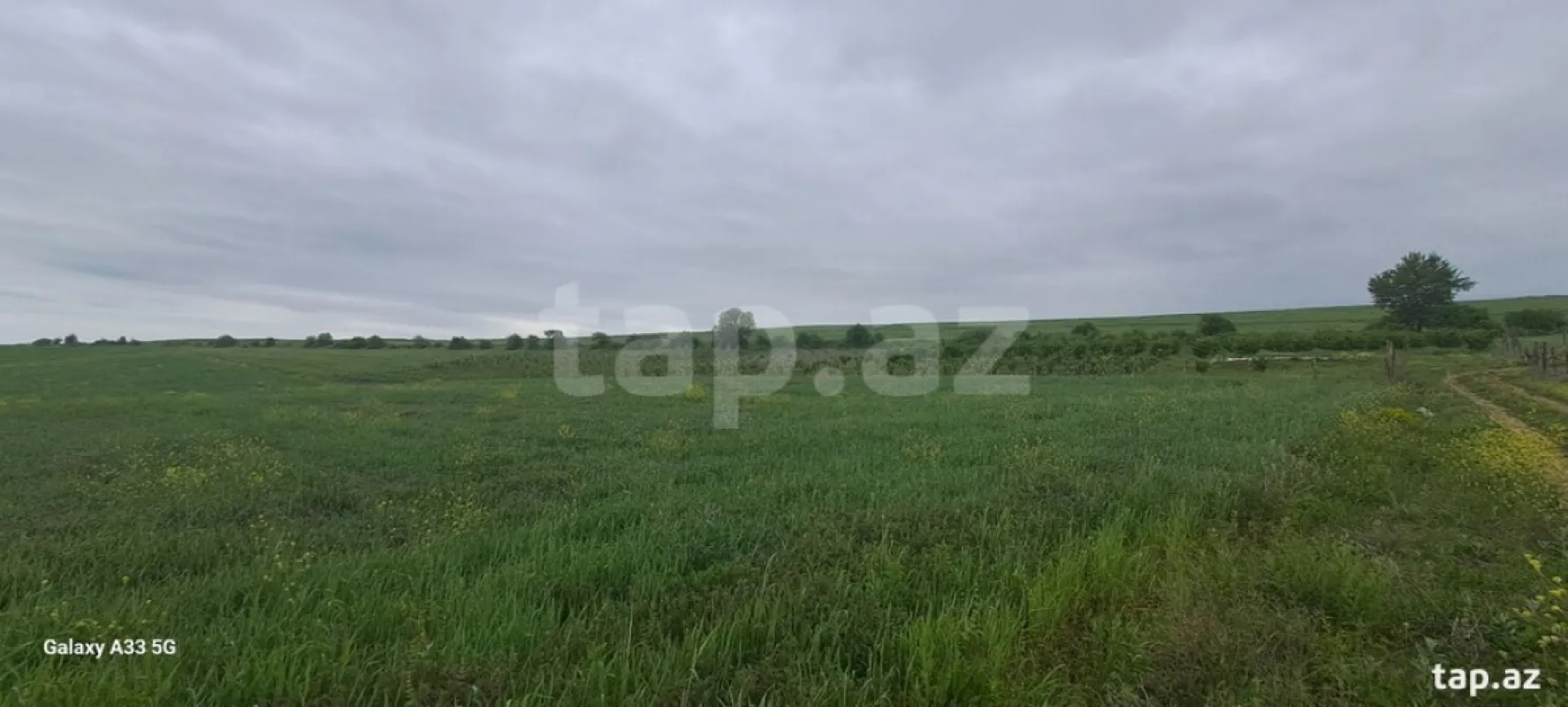 Satılır torpaq sahəsi