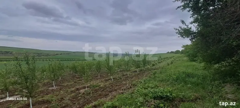 Satılır torpaq sahəsi