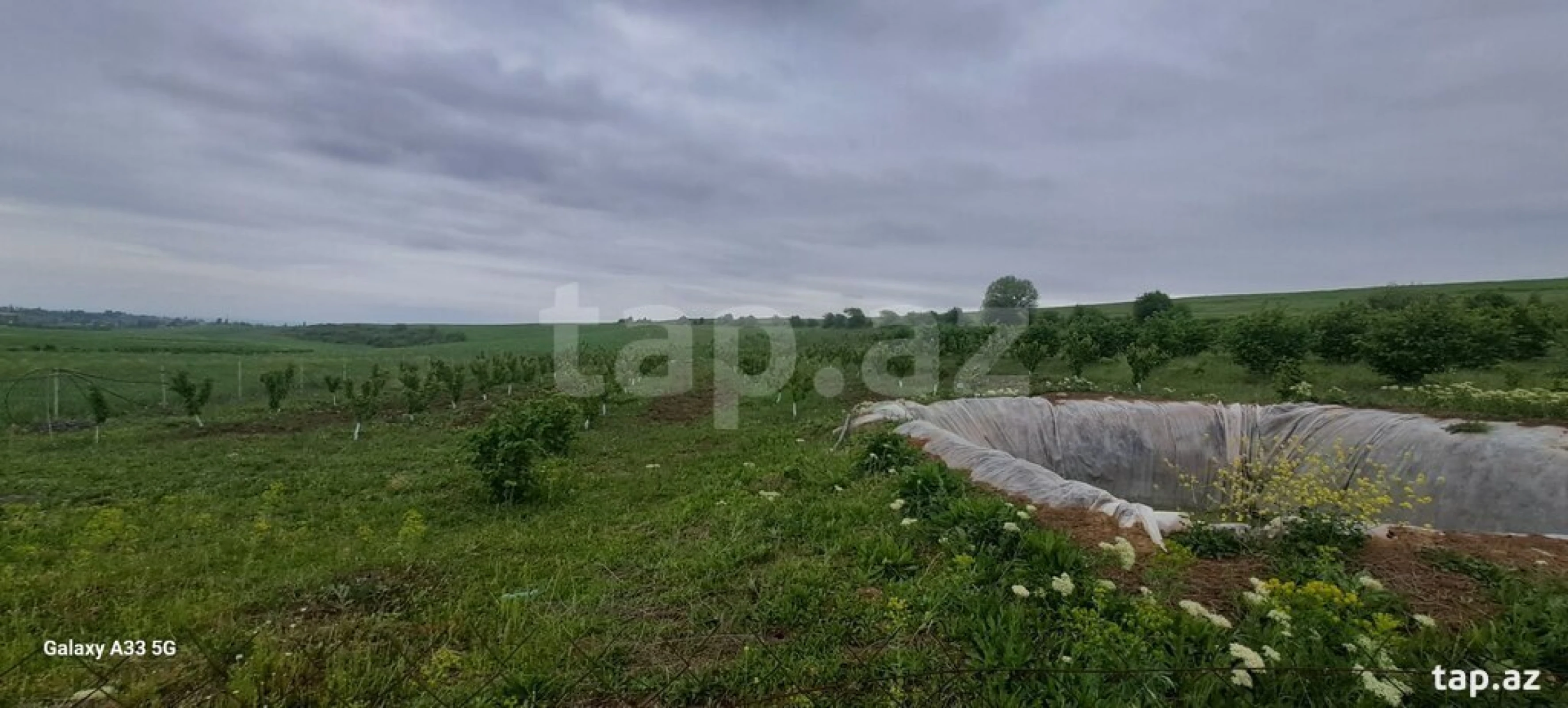 Satılır torpaq sahəsi