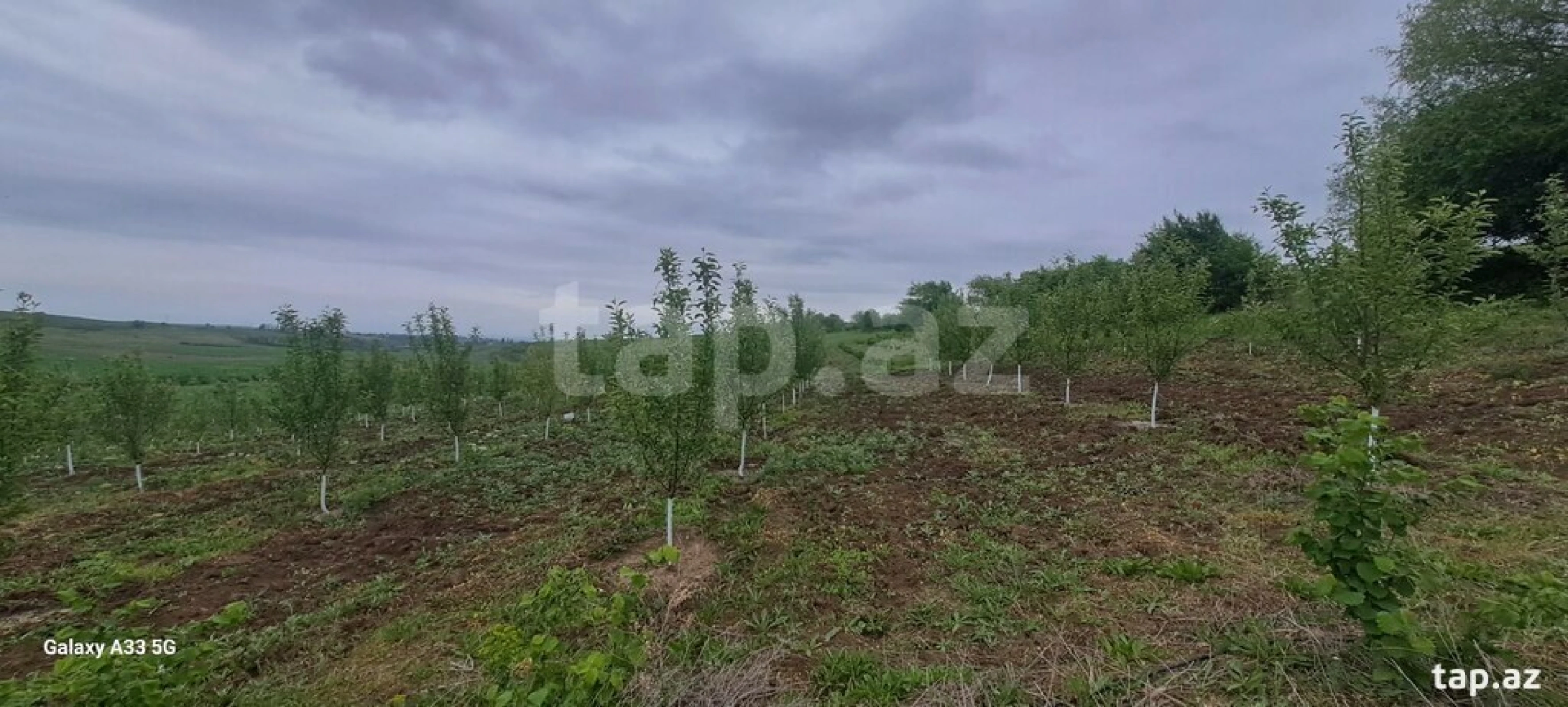 Satılır torpaq sahəsi