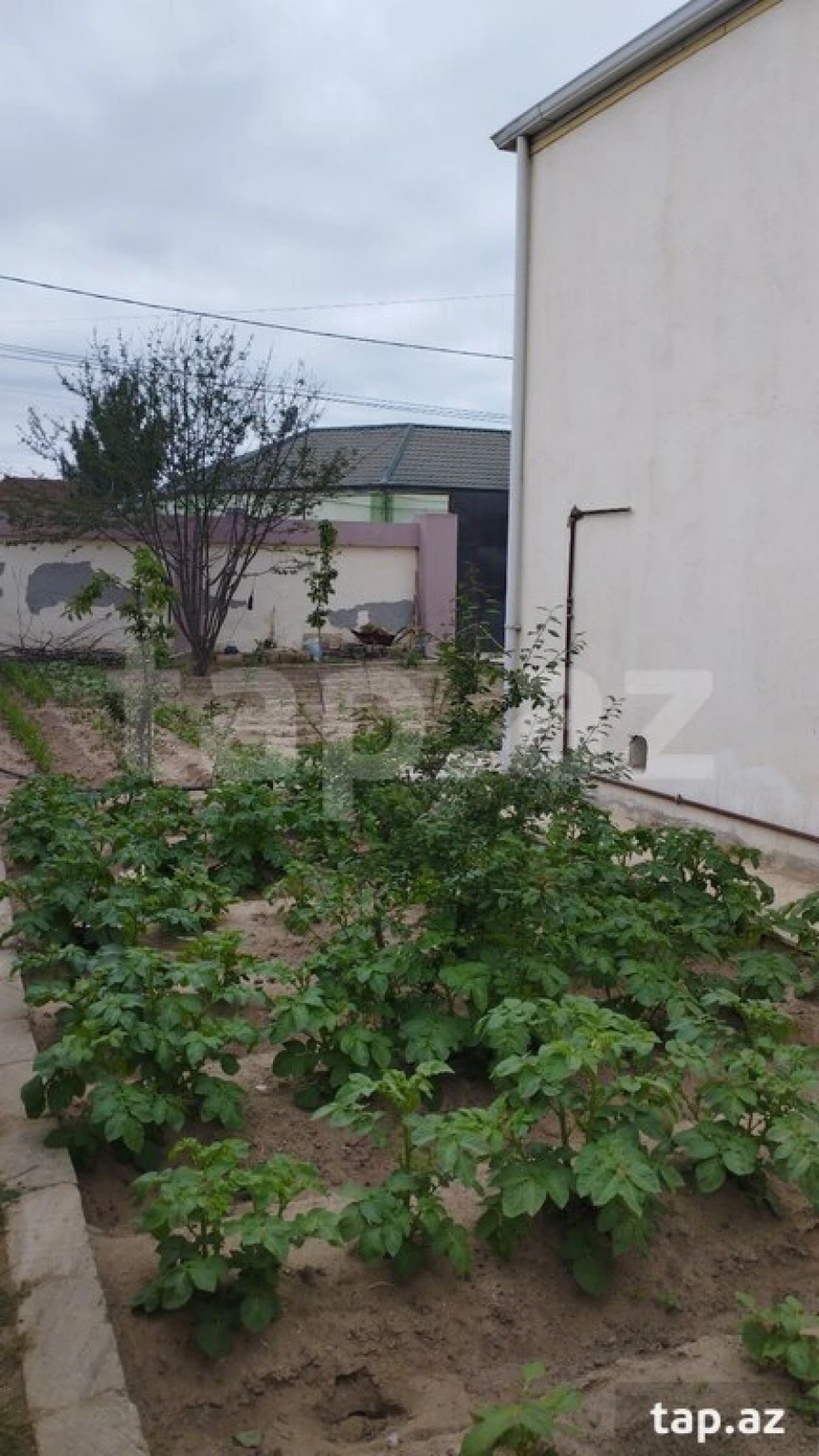 Satılır 3 otaqlı həyət evi