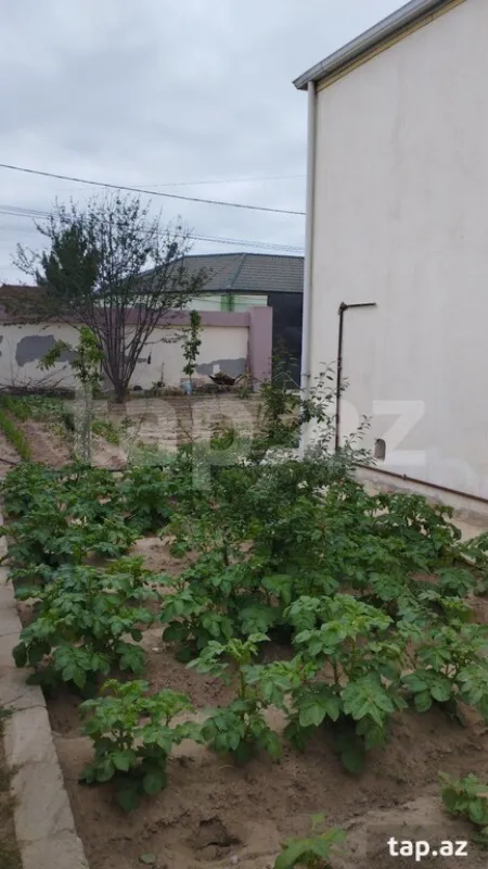 Satılır 3 otaqlı həyət evi