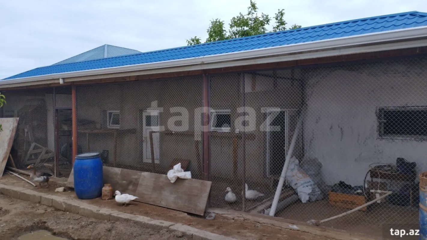 Satılır 3 otaqlı həyət evi