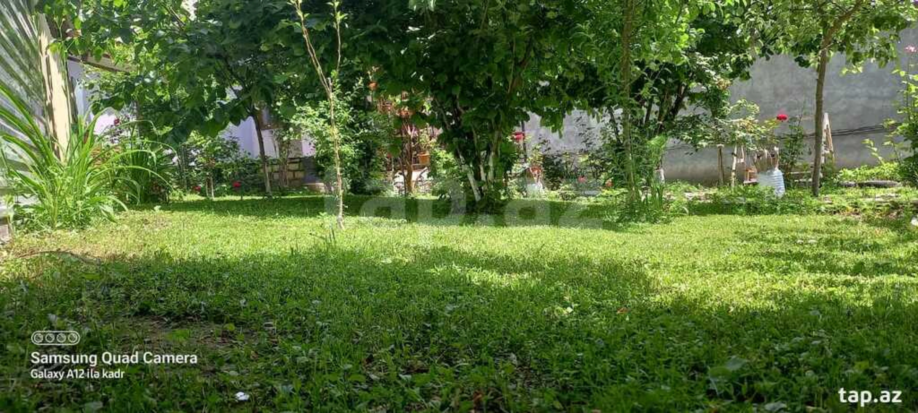 Kirayə verilir 3 otaqlı həyət evi