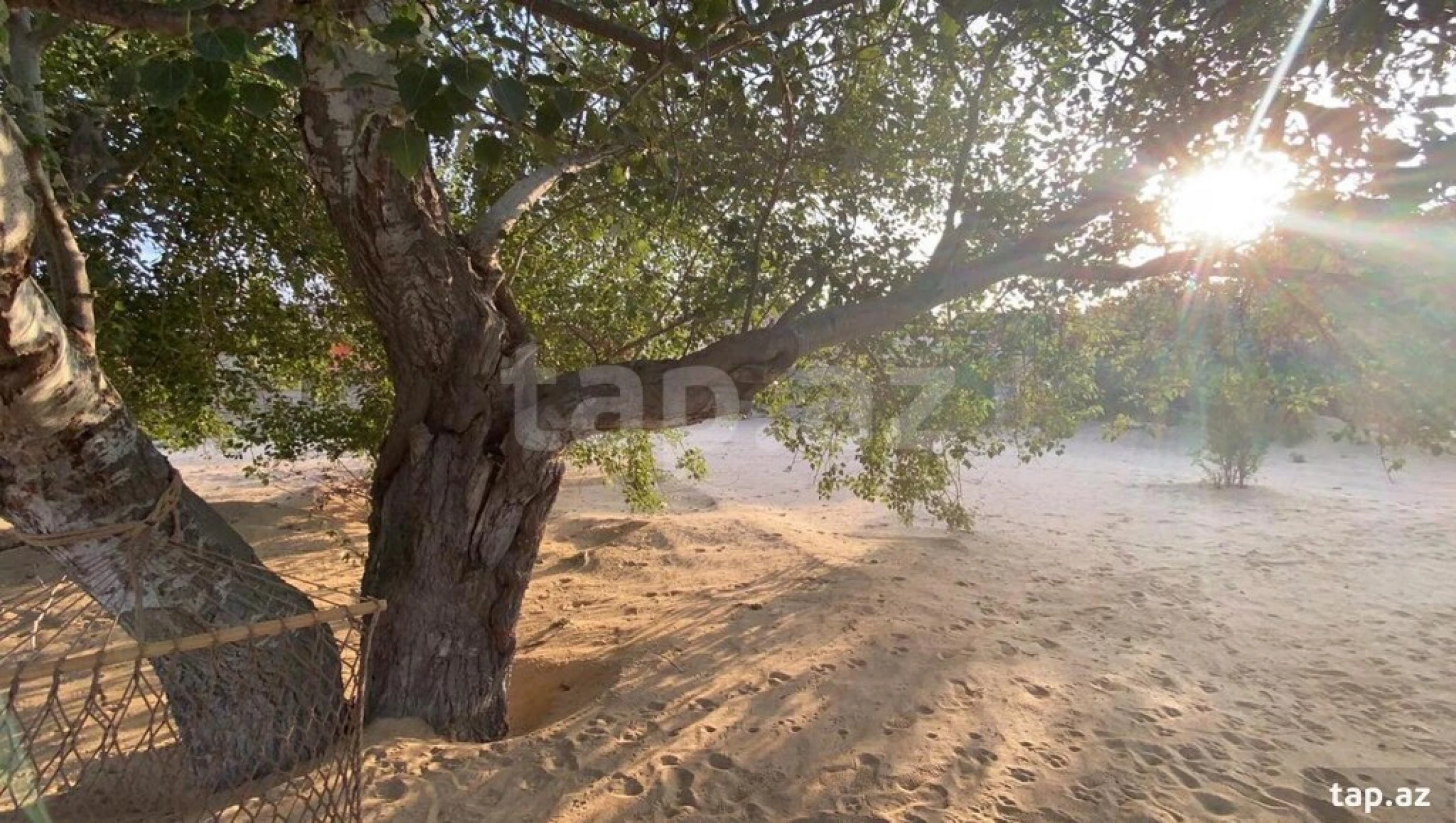 Kirayə verilir 3 otaqlı həyət evi 200 m²