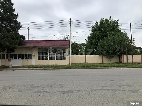 Kirayə verilir ofis