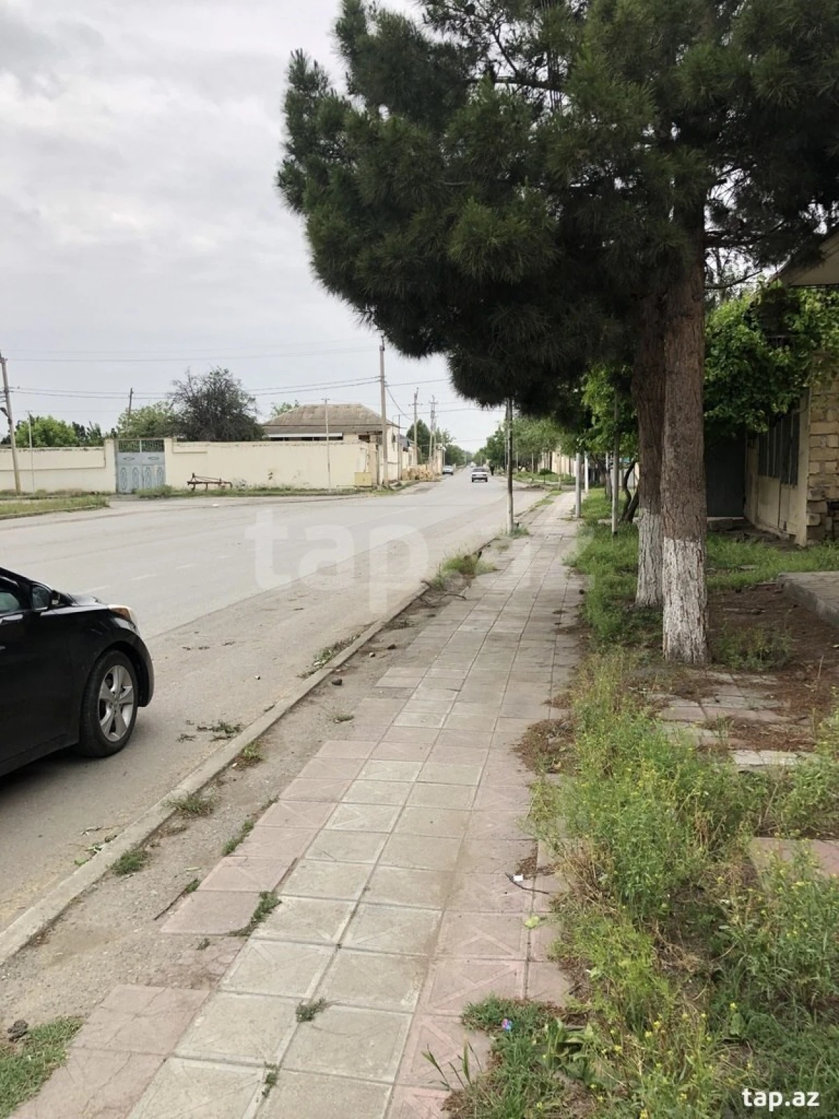 Kirayə verilir ofis