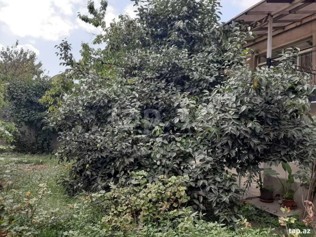 Satılır 6 otaqlı həyət evi