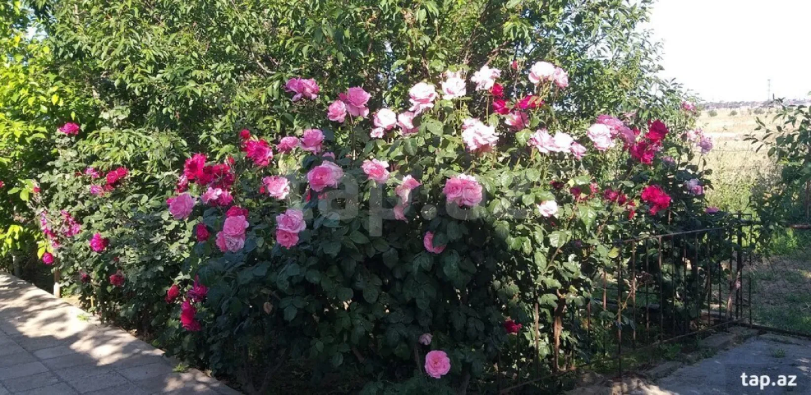 Satılır 6 otaqlı həyət evi