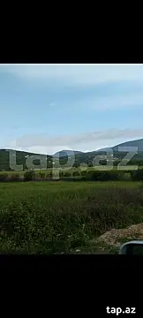 Satılır torpaq sahəsi — Şabran