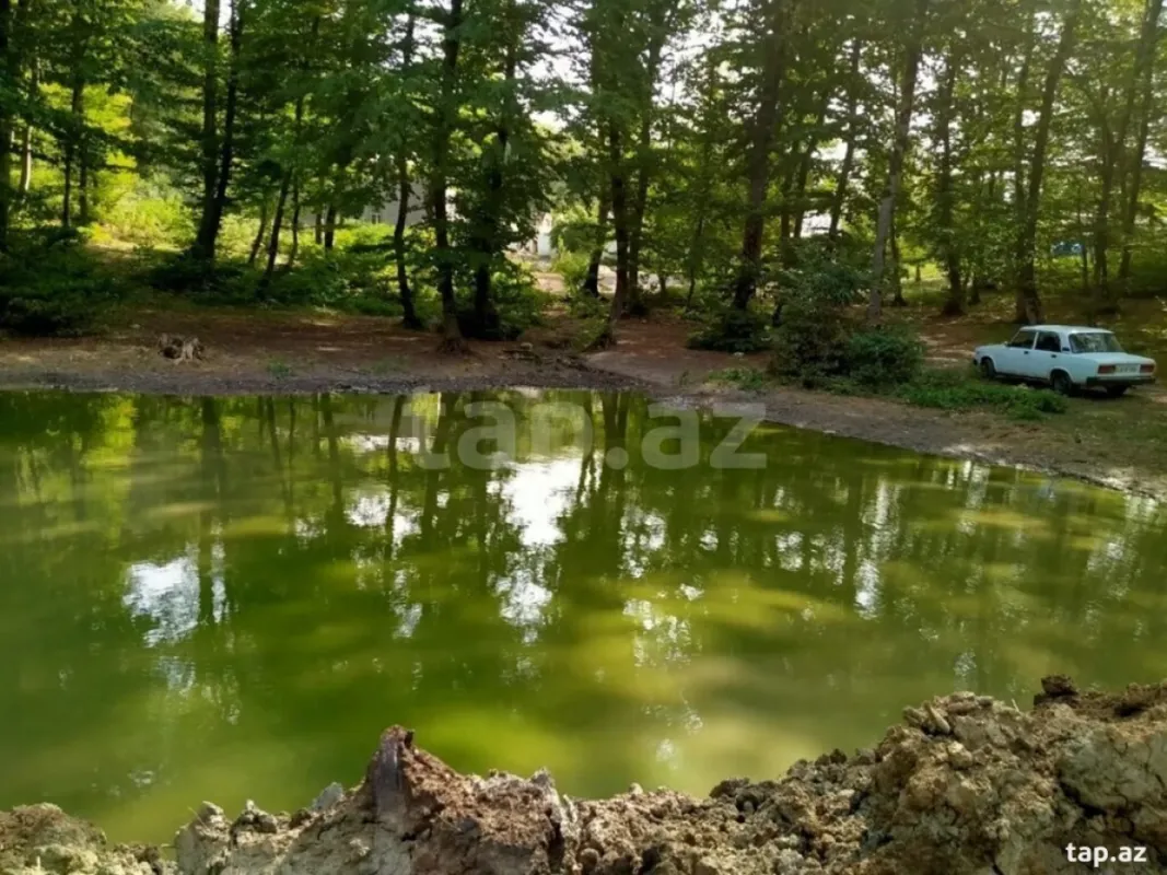 Kirayə verilir 3 otaqlı həyət evi