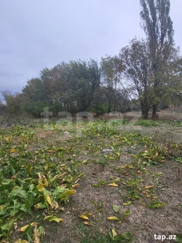 Satılır torpaq sahəsi