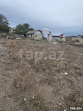 Satılır torpaq sahəsi — Şamaxı