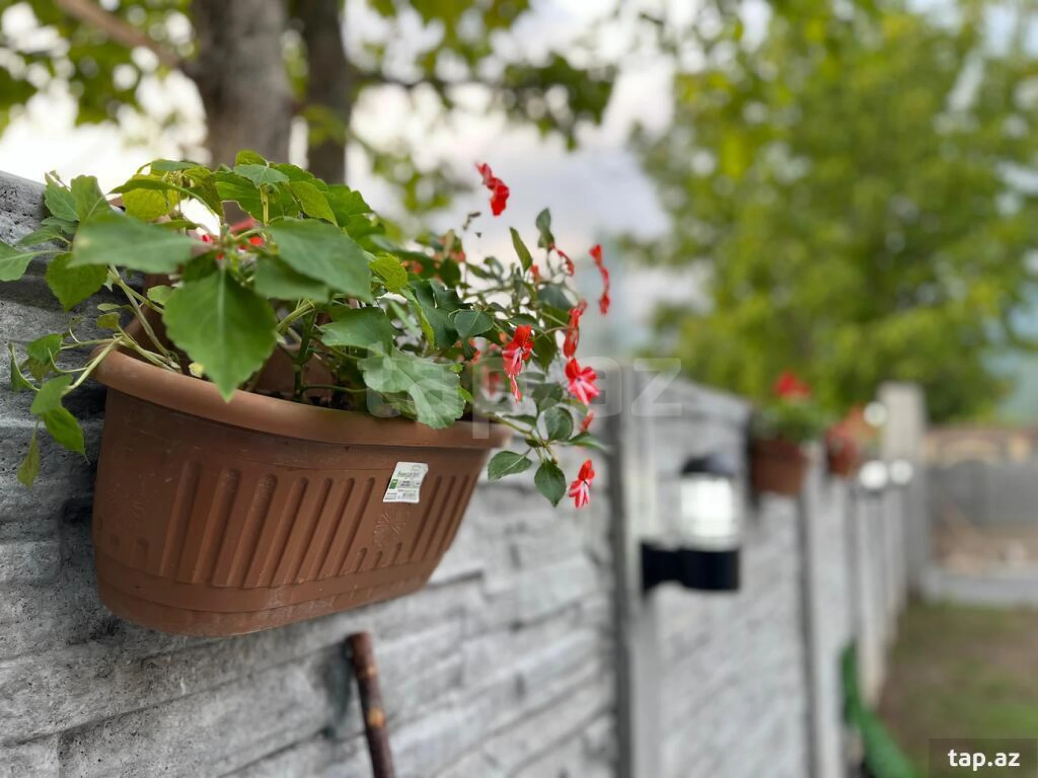 Kirayə verilir 4 otaqlı həyət evi