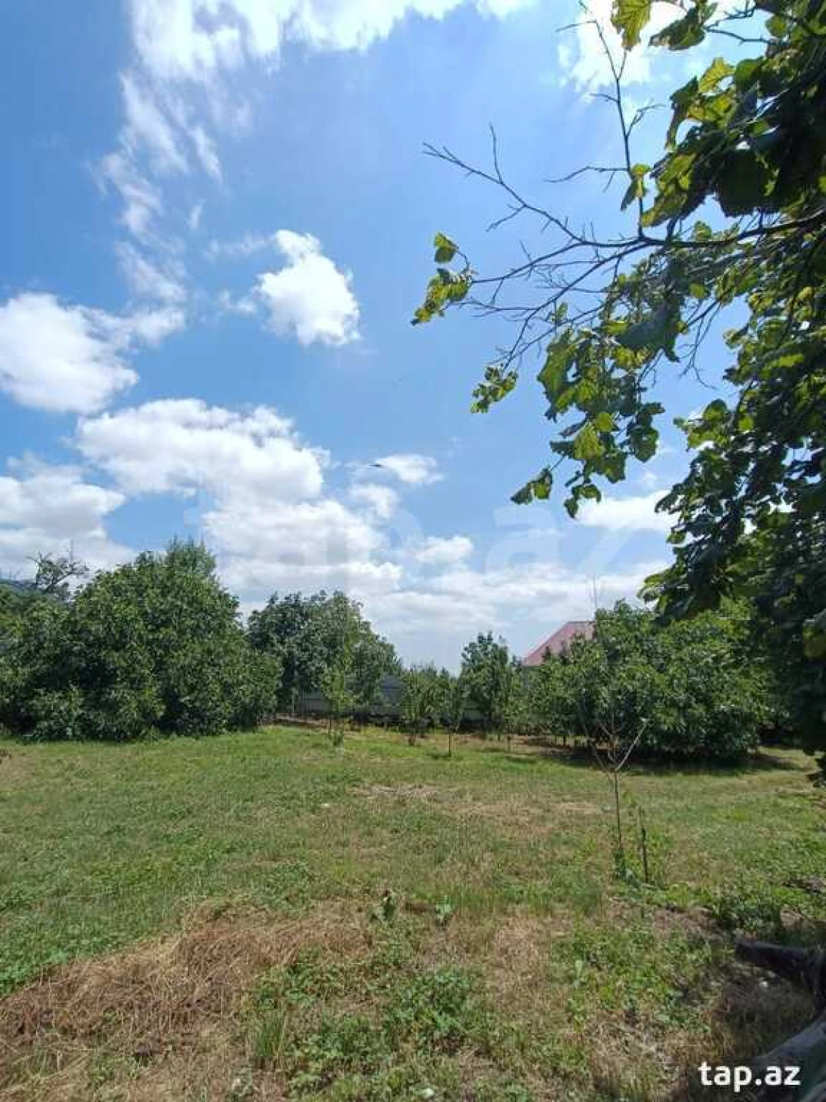 Kirayə verilir 4 otaqlı həyət evi