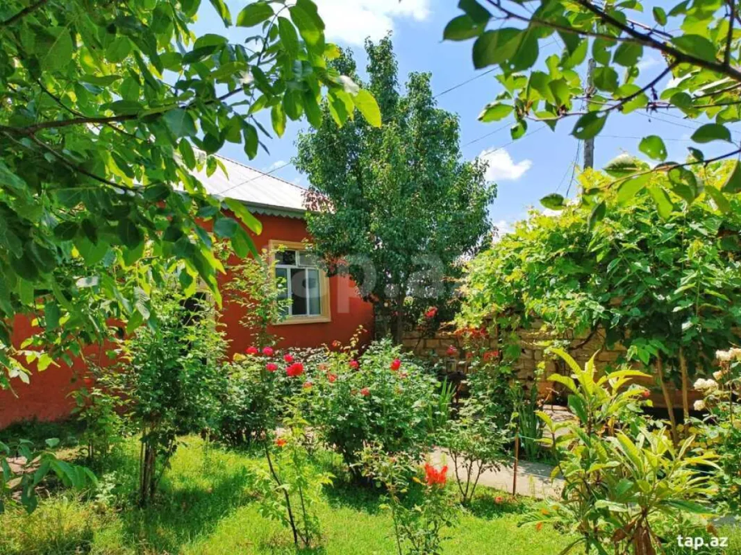 Kirayə verilir 3 otaqlı həyət evi