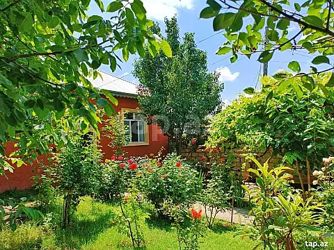 Kirayə verilir 3 otaqlı həyət evi — İsmayıllı 3 otaq