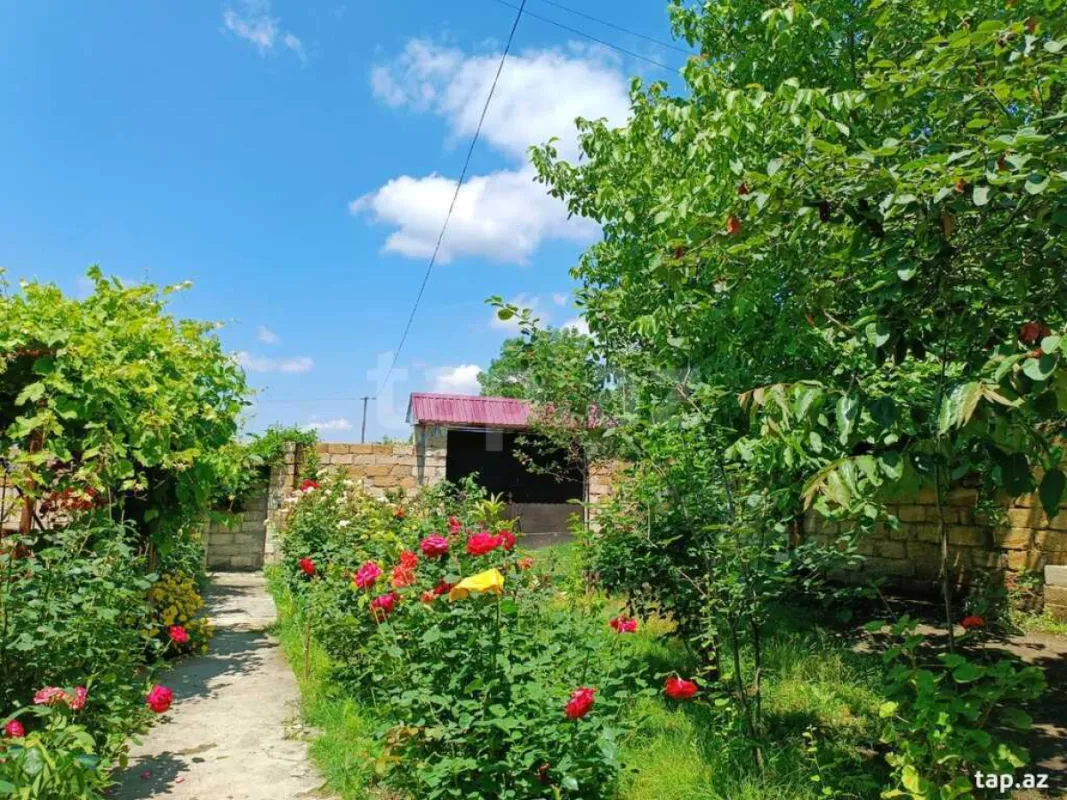 Kirayə verilir 3 otaqlı həyət evi