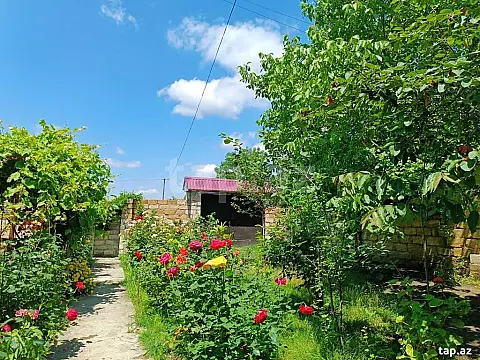 Kirayə verilir 3 otaqlı həyət evi