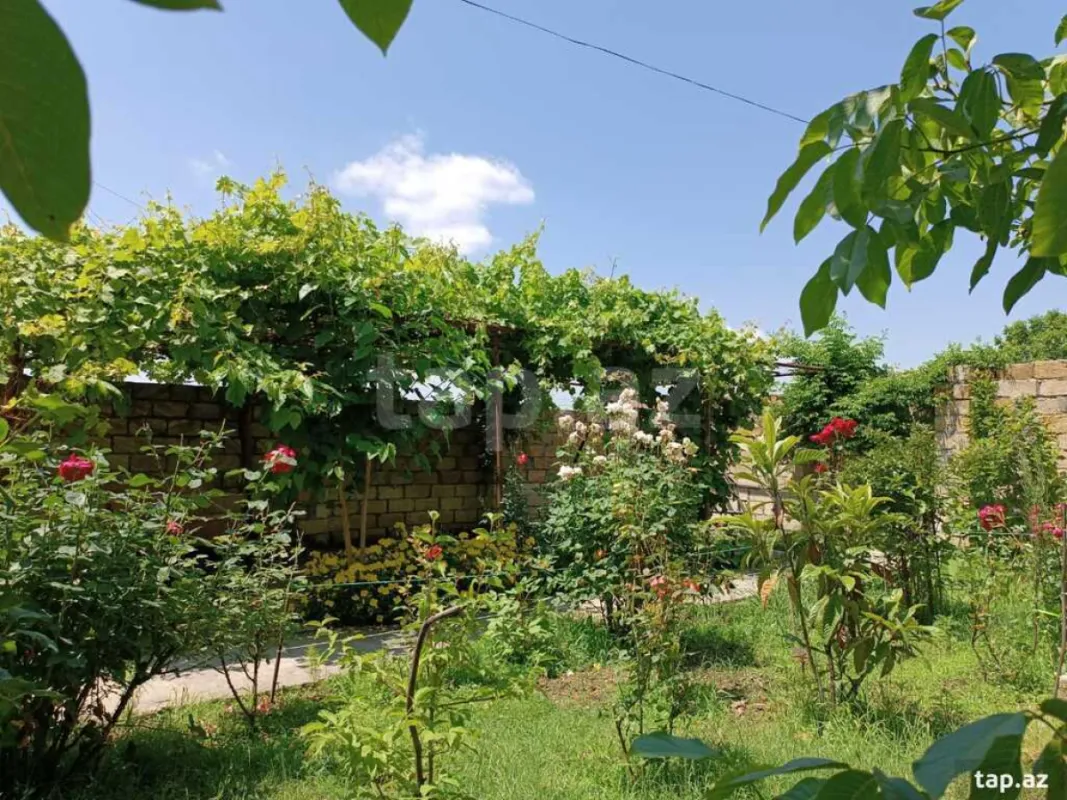 Kirayə verilir 3 otaqlı həyət evi