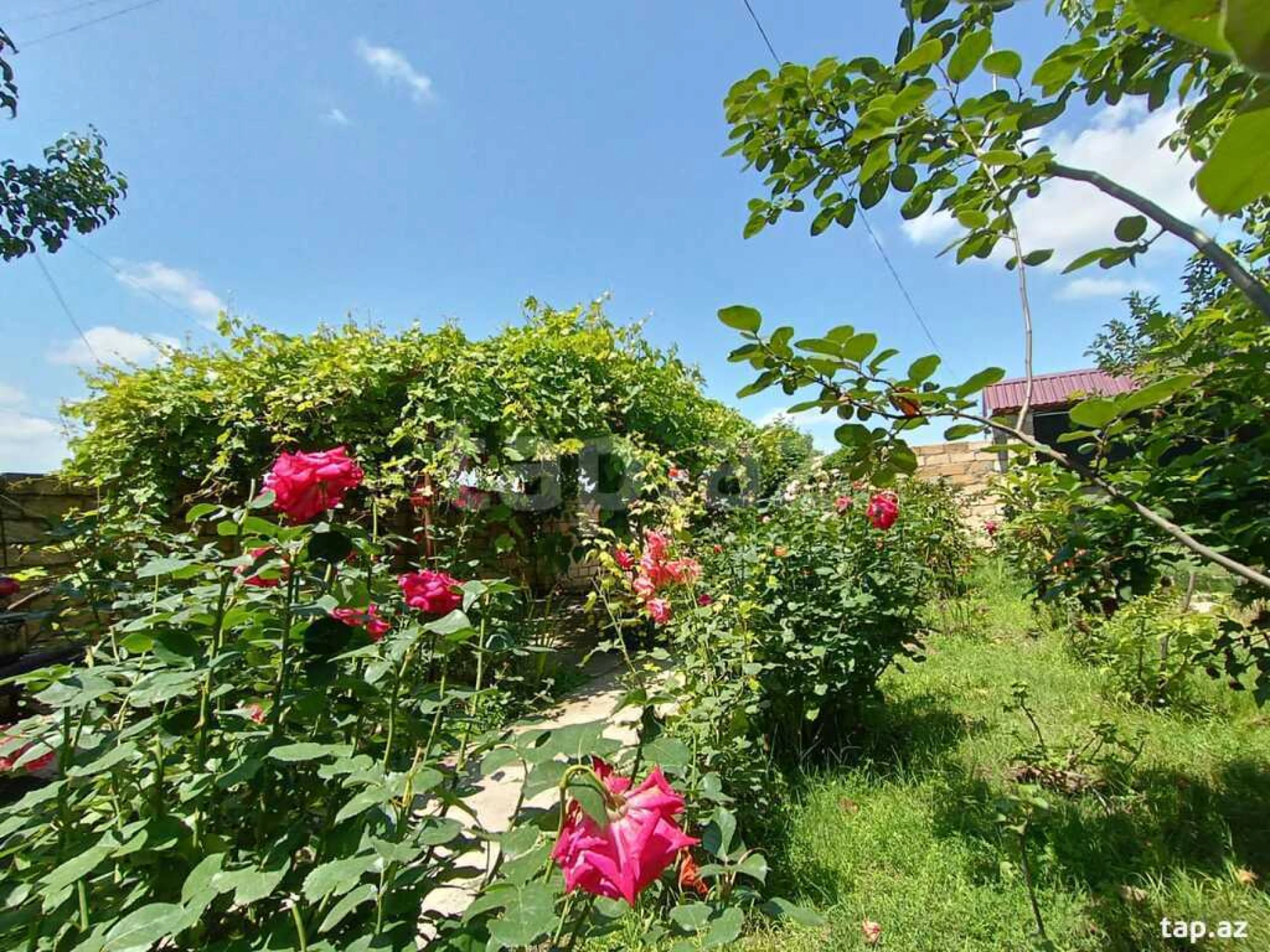 Kirayə verilir 3 otaqlı həyət evi