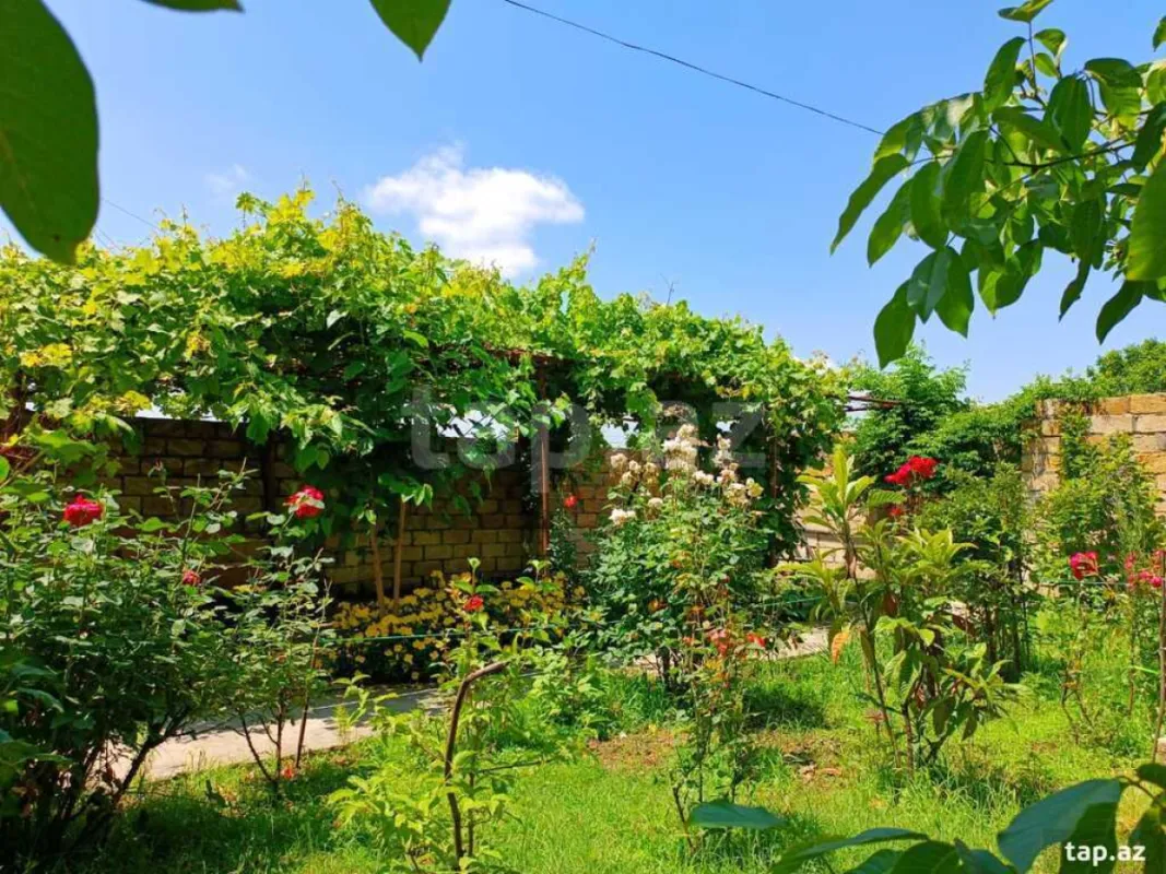 Kirayə verilir 3 otaqlı həyət evi