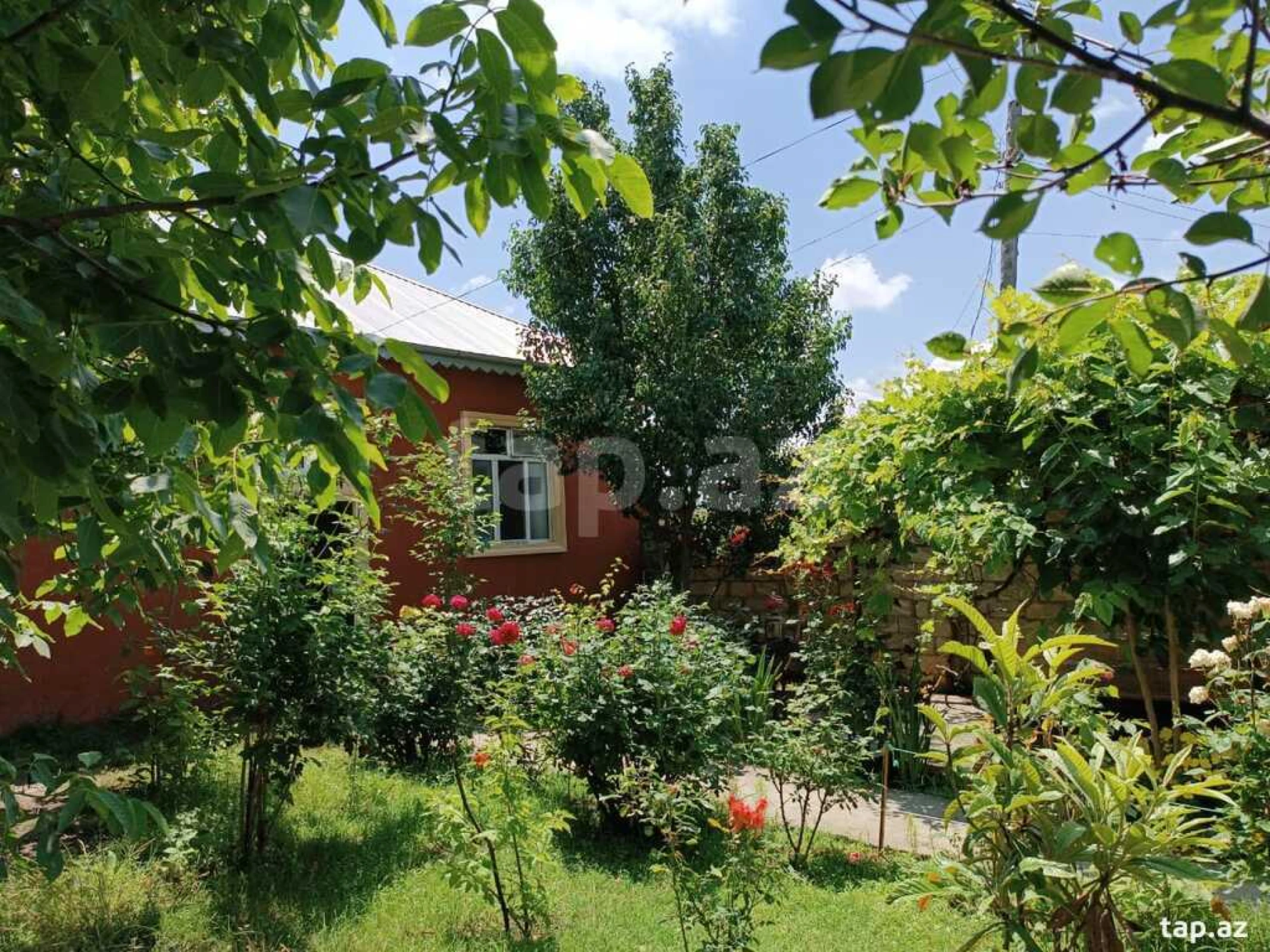 Kirayə verilir 3 otaqlı həyət evi