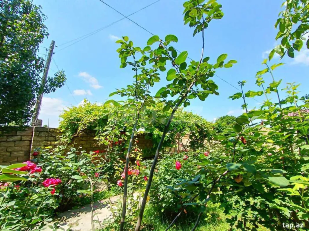 Kirayə verilir 3 otaqlı həyət evi