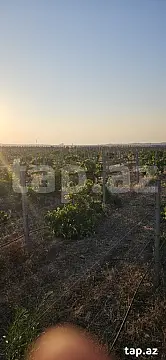 Satılır torpaq sahəsi — Bakı, Masazır