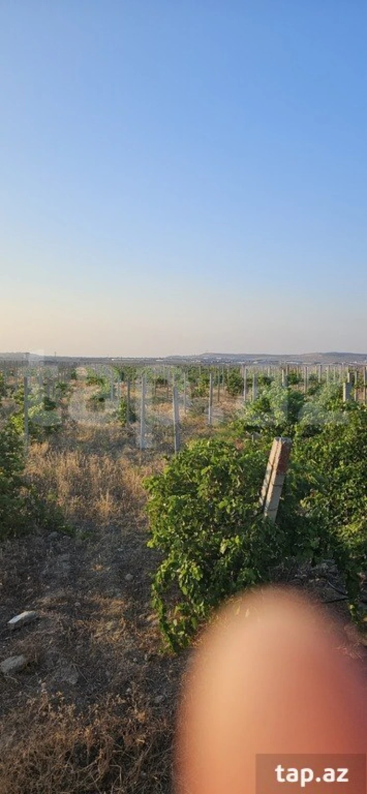 Satılır torpaq sahəsi