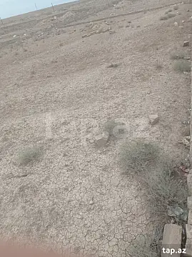 Satılır torpaq sahəsi — Bakı, Qobustan qəs.