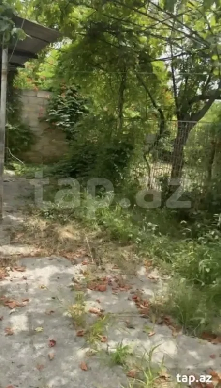 Satılır 3 otaqlı həyət evi