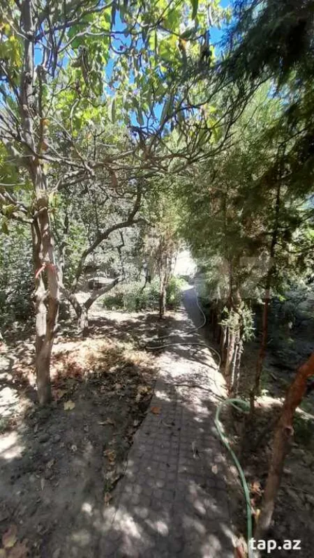 Kirayə verilir 3 otaqlı həyət evi