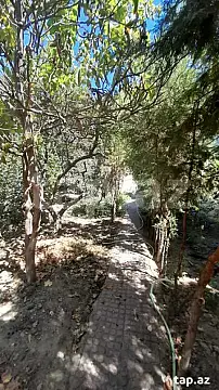 Kirayə verilir 3 otaqlı həyət evi