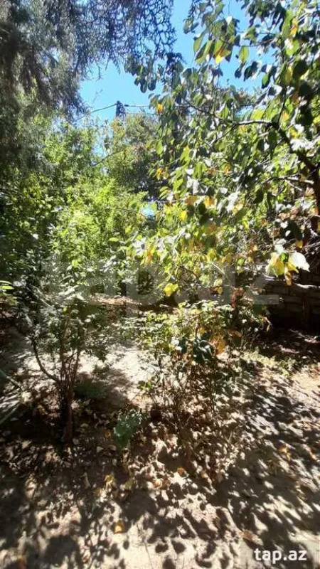 Kirayə verilir 3 otaqlı həyət evi