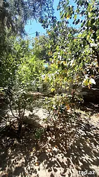 Kirayə verilir 3 otaqlı həyət evi