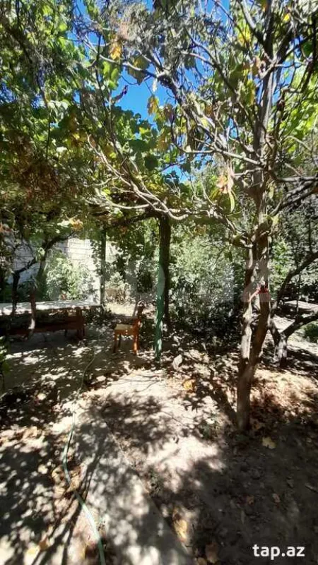 Kirayə verilir 3 otaqlı həyət evi