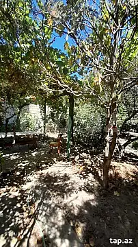 Kirayə verilir 3 otaqlı həyət evi