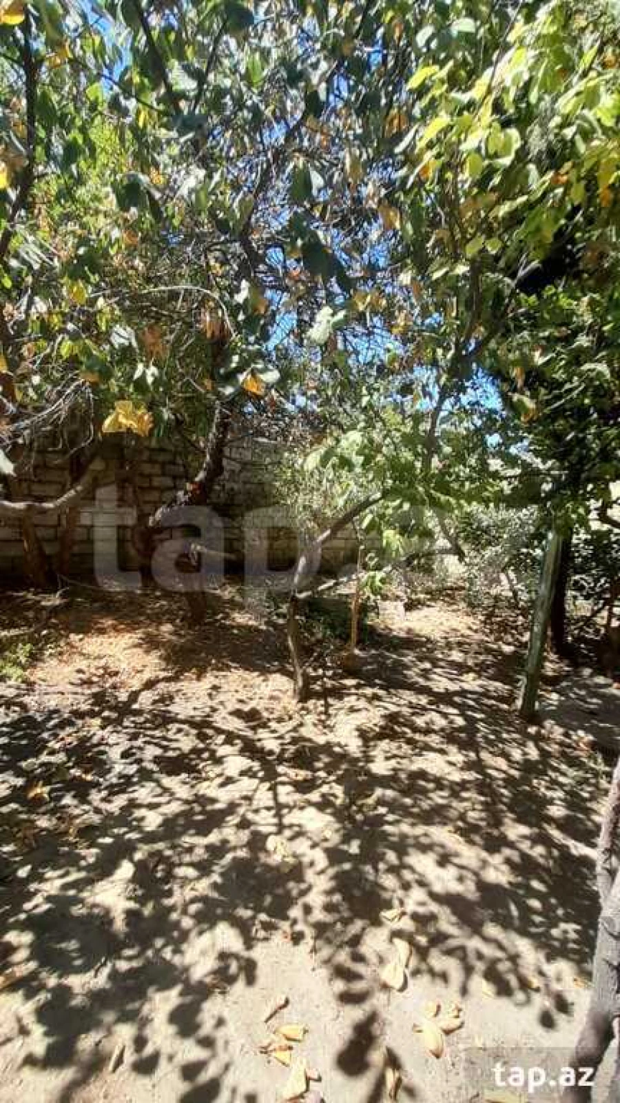 Kirayə verilir 3 otaqlı həyət evi