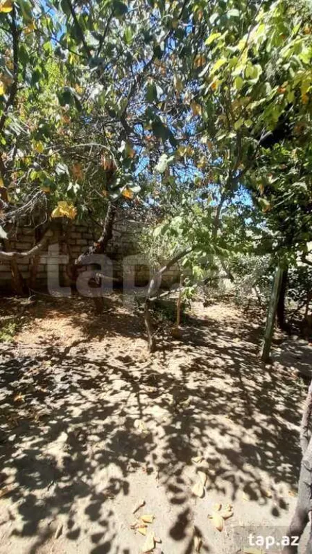 Kirayə verilir 3 otaqlı həyət evi