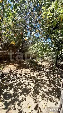 Kirayə verilir 3 otaqlı həyət evi