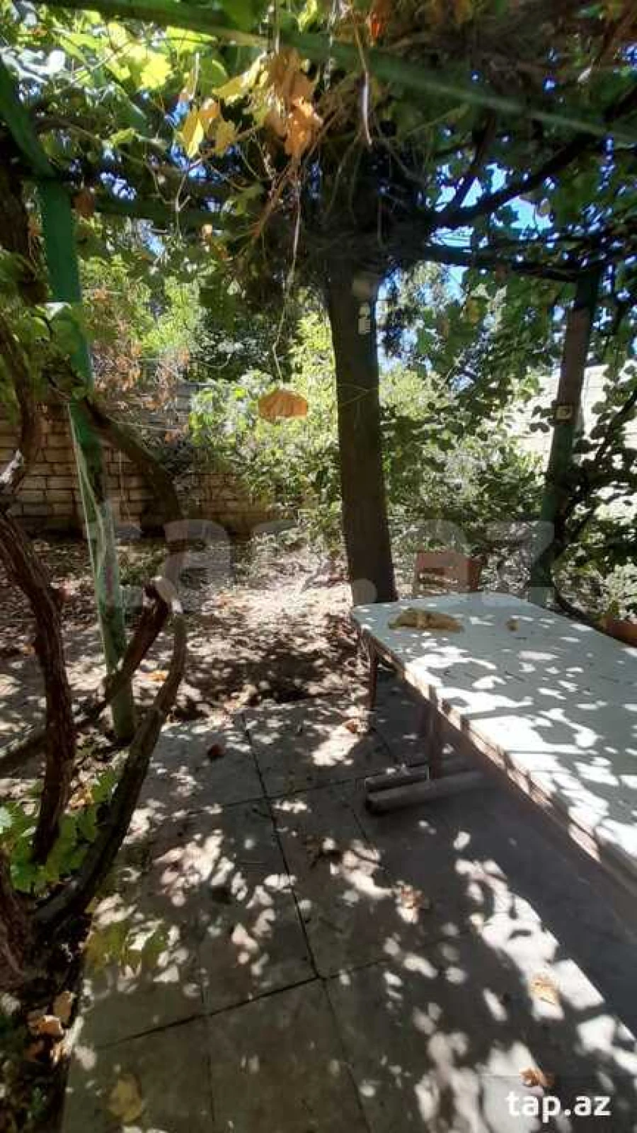 Kirayə verilir 3 otaqlı həyət evi