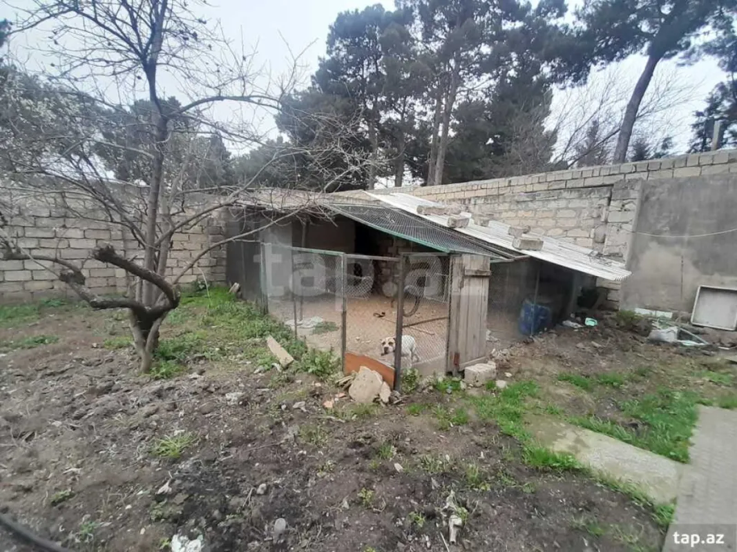 Kirayə verilir 3 otaqlı həyət evi