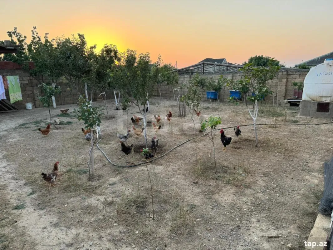 Satılır 5 otaqlı həyət evi