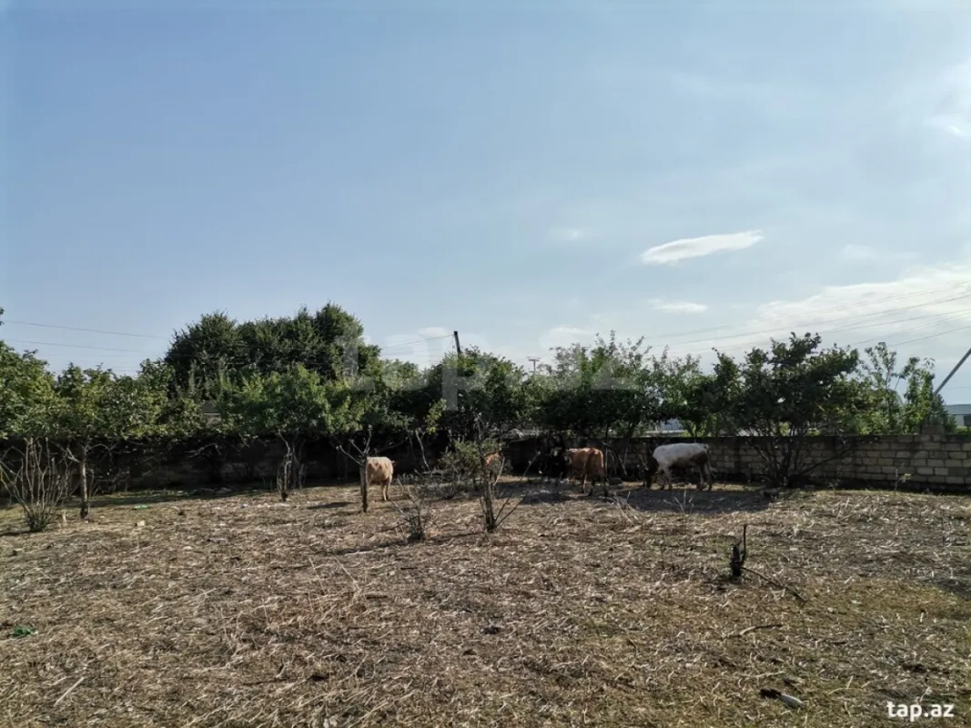 Satılır 6 otaqlı həyət evi