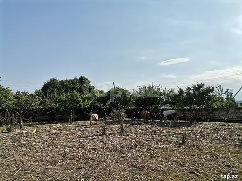 Satılır 6 otaqlı həyət evi