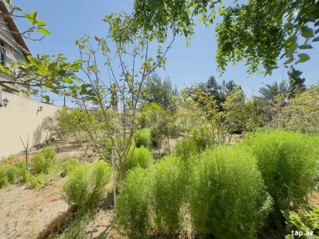 Satılır 11 otaqlı həyət evi